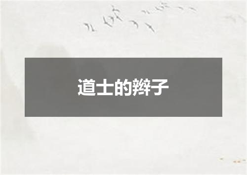 道士的辫子
