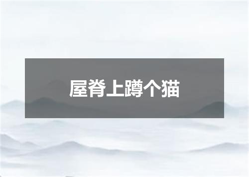 屋脊上蹲个猫