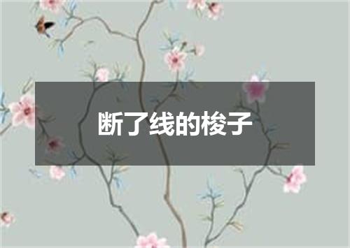 断了线的梭子