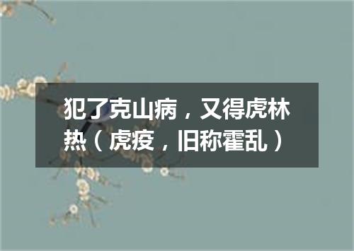 犯了克山病，又得虎林热（虎疫，旧称霍乱）
