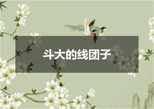 斗大的线团子