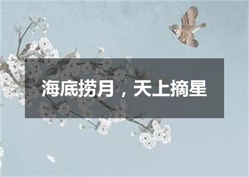 海底捞月，天上摘星