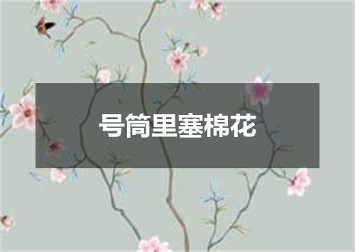 号筒里塞棉花