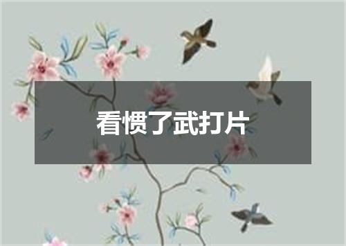 看惯了武打片