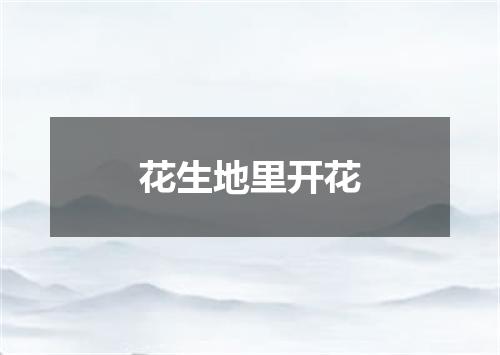 花生地里开花