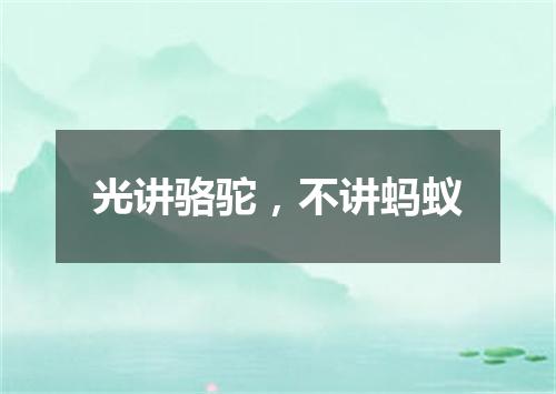 光讲骆驼，不讲蚂蚁