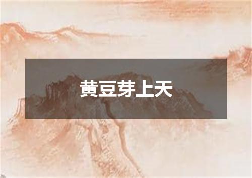 黄豆芽上天