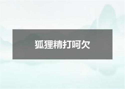 狐狸精打呵欠