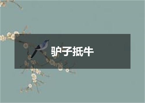 驴子抵牛