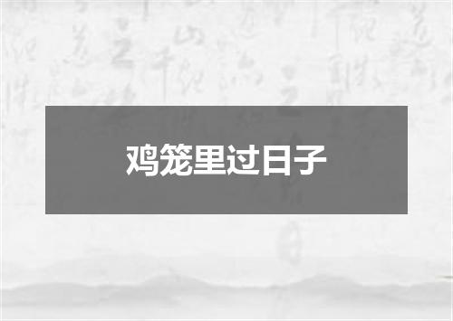 鸡笼里过日子