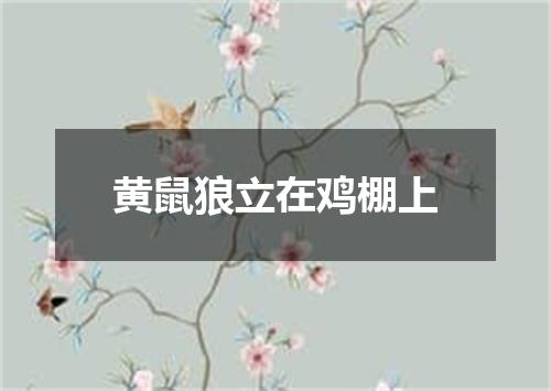 黄鼠狼立在鸡棚上