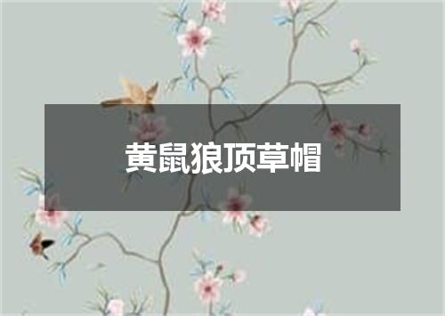 黄鼠狼顶草帽