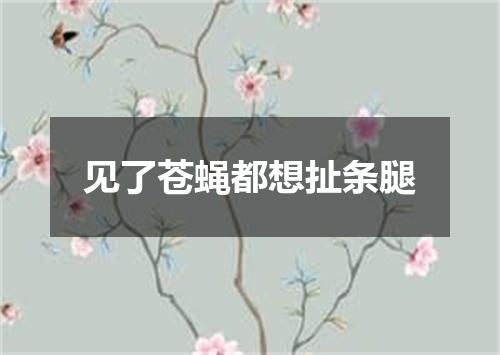 见了苍蝇都想扯条腿
