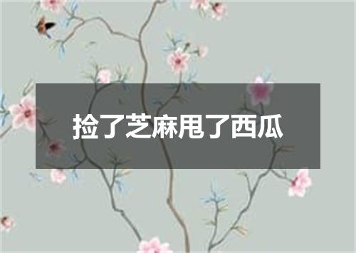 捡了芝麻甩了西瓜