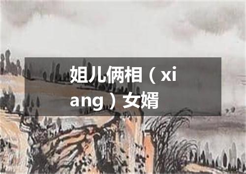 姐儿俩相（xiang）女婿