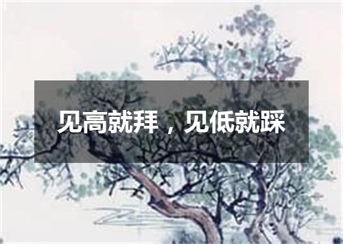 见高就拜，见低就踩