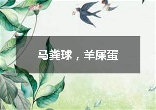 马粪球，羊屎蛋