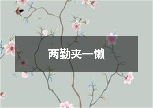 两勤夹一懒