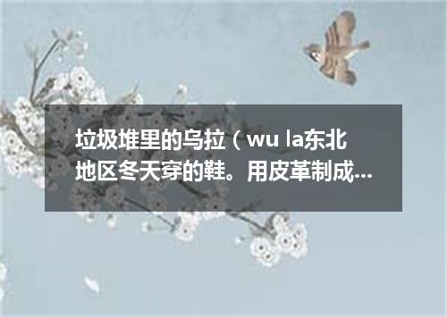垃圾堆里的乌拉（wu la东北地区冬天穿的鞋。用皮革制成，里面垫乌拉草）