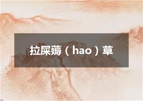 拉屎薅（hao）草
