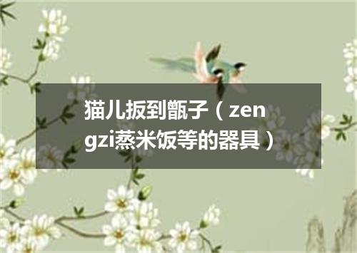 猫儿扳到甑子（zen gzi蒸米饭等的器具）