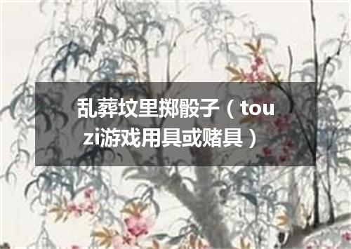 乱葬坟里掷骰子（tou zi游戏用具或赌具）