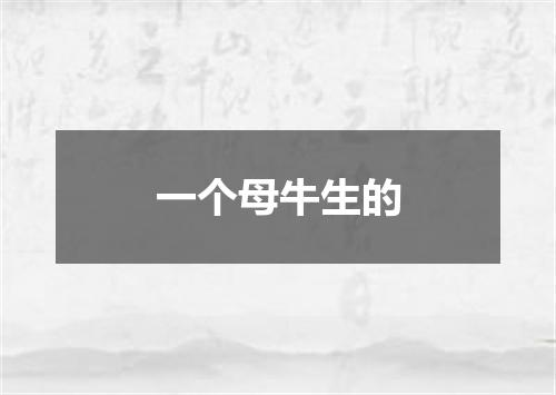 一个母牛生的