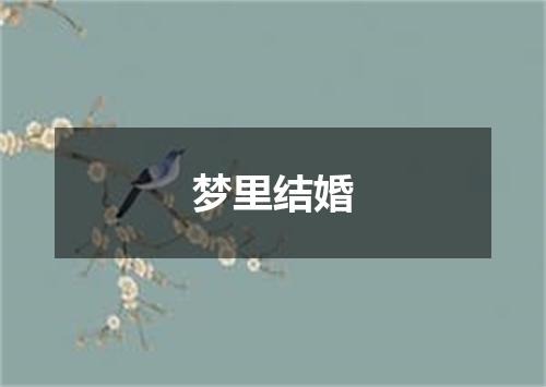 梦里结婚