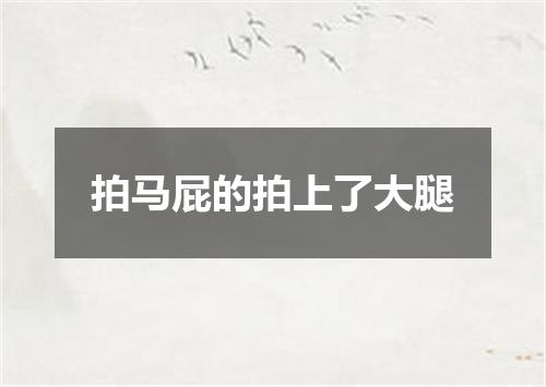 拍马屁的拍上了大腿