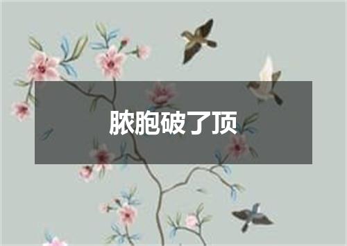 脓胞破了顶