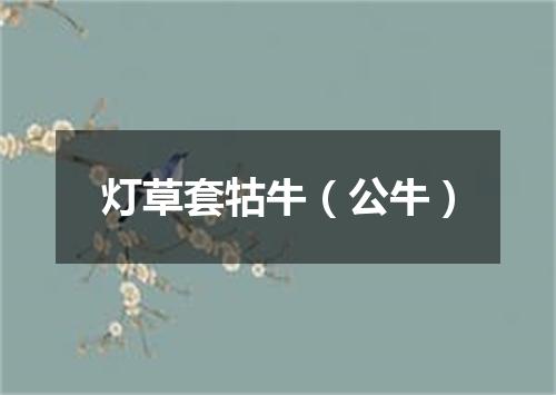 灯草套牯牛（公牛）