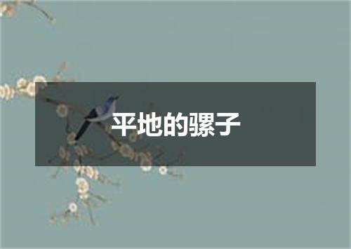 平地的骡子