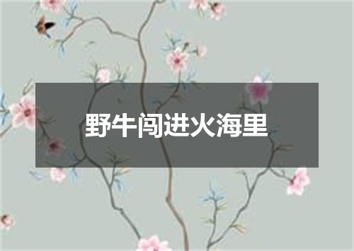 野牛闯进火海里