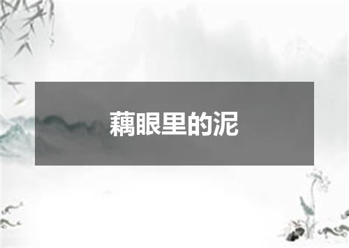 藕眼里的泥
