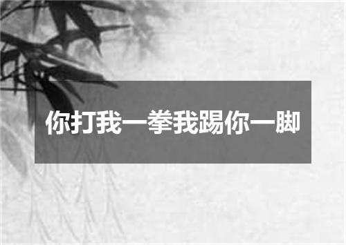 你打我一拳我踢你一脚