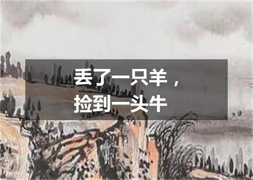 丢了一只羊，捡到一头牛