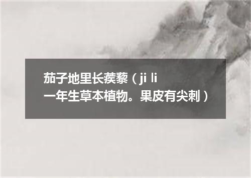 茄子地里长蒺藜（ji li 一年生草本植物。果皮有尖刺）