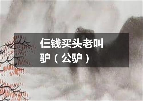 仨钱买头老叫驴（公驴）