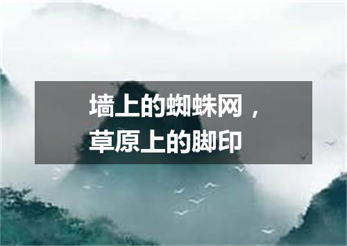 墙上的蜘蛛网，草原上的脚印