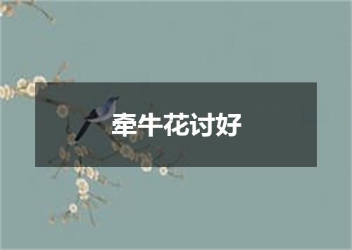 牵牛花讨好