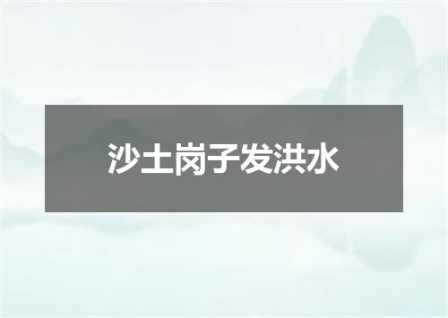 沙土岗子发洪水