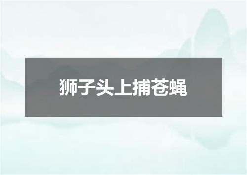 狮子头上捕苍蝇