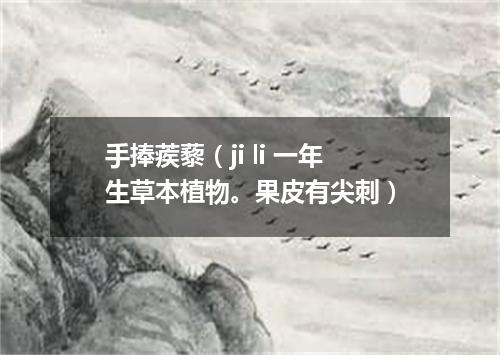 手捧蒺藜（ji li 一年生草本植物。果皮有尖刺）