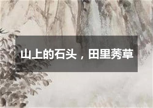 山上的石头，田里莠草