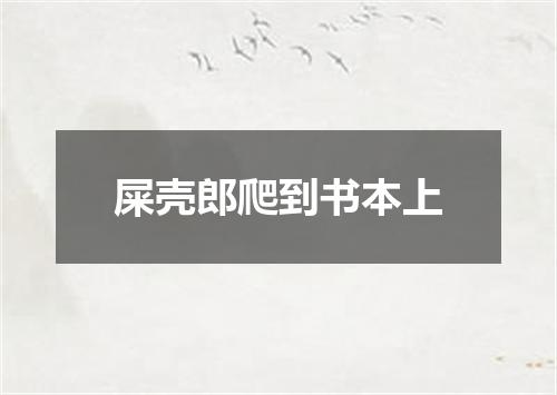 屎壳郎爬到书本上