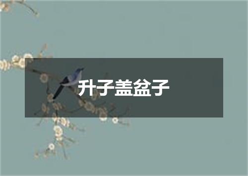 升子盖盆子