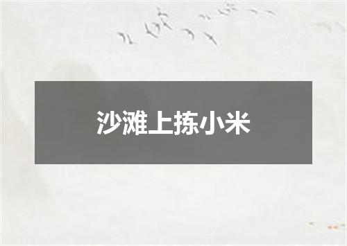 沙滩上拣小米