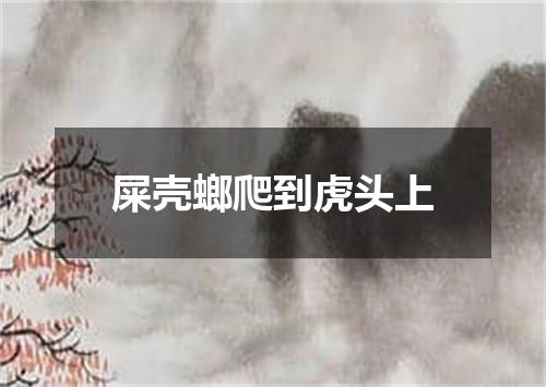 屎壳螂爬到虎头上