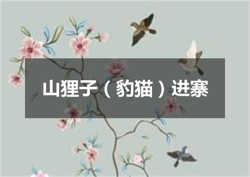 山狸子（豹猫）进寨