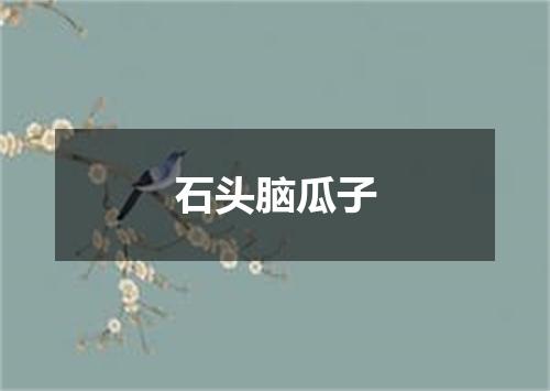 石头脑瓜子